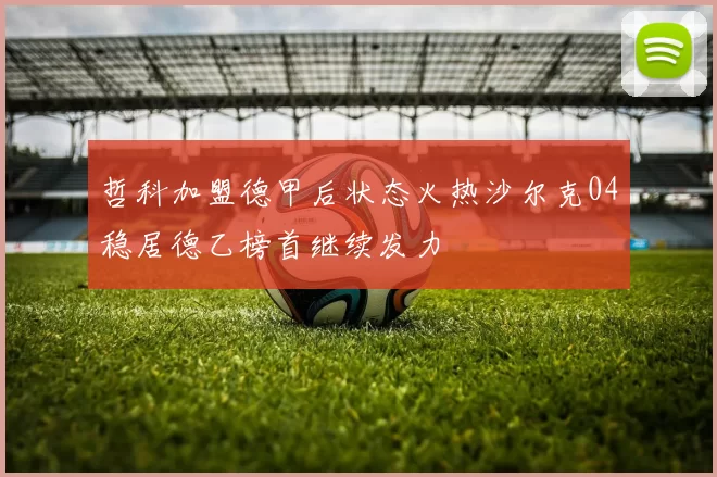 哲科加盟德甲后状态火热沙尔克04稳居德乙榜首继续发力