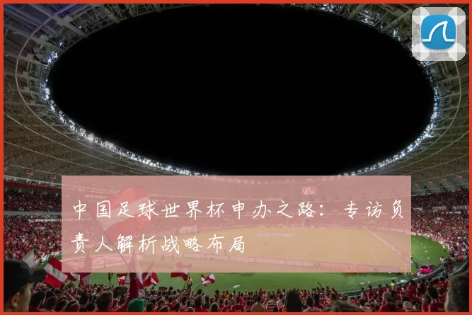 中国足球世界杯申办之路:专访负责人解析战略布局