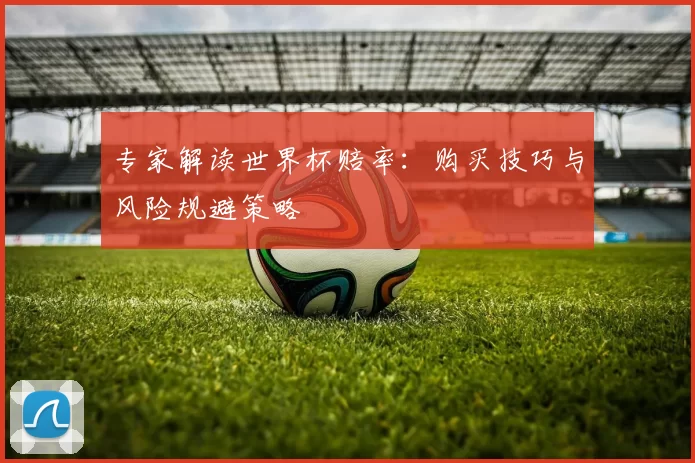 专家解读世界杯赔率:购买技巧与风险规避策略