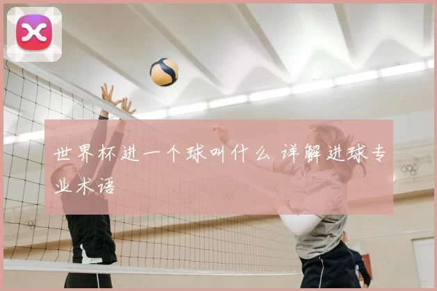 世界杯进一个球叫什么 详解进球专业术语