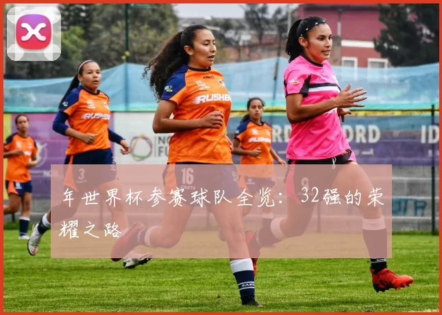 年世界杯参赛球队全览：32强的荣耀之路