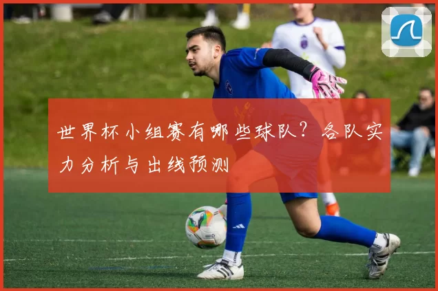 世界杯小组赛有哪些球队？各队实力分析与出线预测
