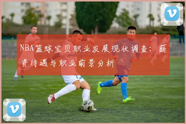 NBA篮球宝贝职业发展现状调查:薪资待遇与职业前景分析