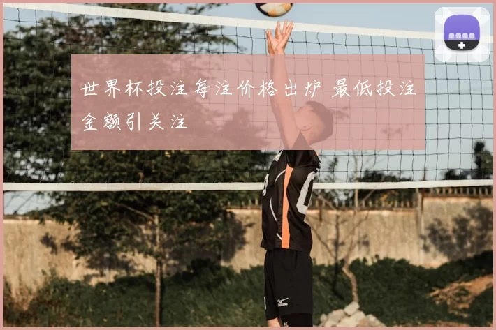 世界杯投注每注价格出炉 最低投注金额引关注