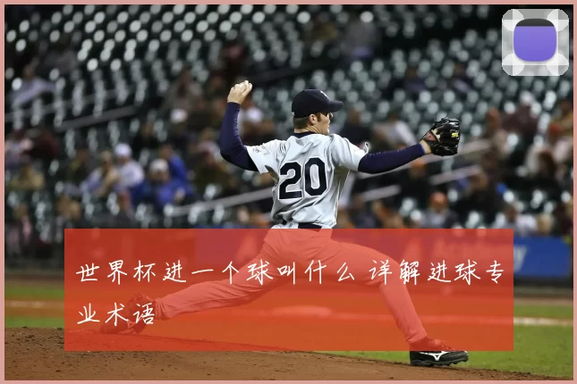 世界杯进一个球叫什么 详解进球专业术语