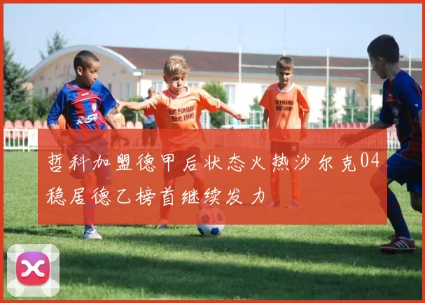 哲科加盟德甲后状态火热沙尔克04稳居德乙榜首继续发力