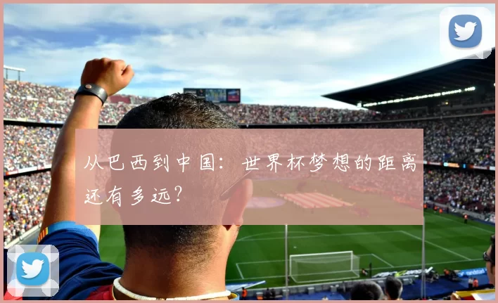 从巴西到中国:世界杯梦想的距离还有多远?