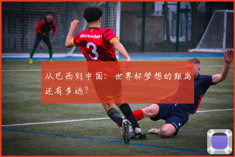 从巴西到中国:世界杯梦想的距离还有多远?