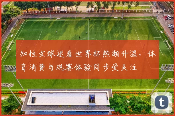 知性女球迷看世界杯热潮升温,体育消费与观赛体验同步受关注