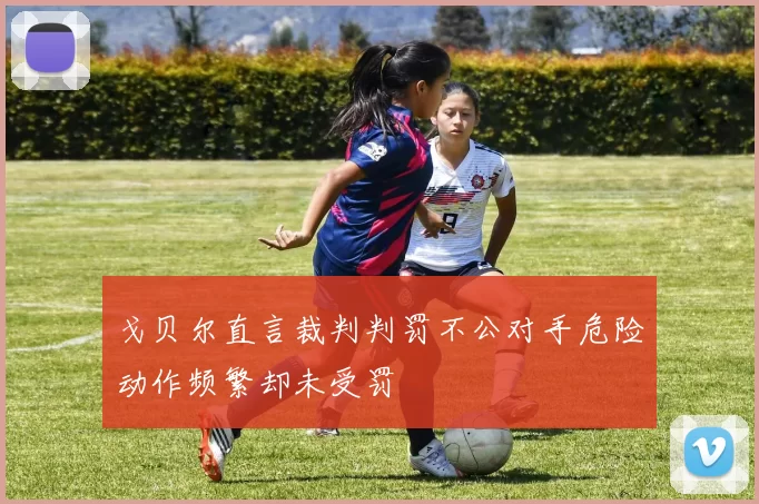 戈贝尔直言裁判判罚不公对手危险动作频繁却未受罚