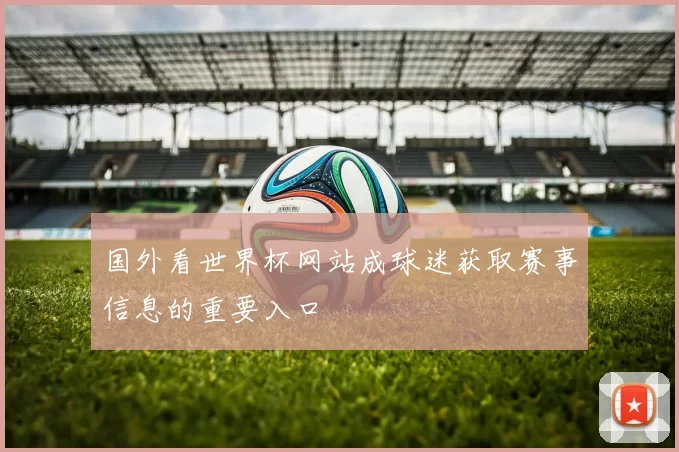 国外看世界杯网站成球迷获取赛事信息的重要入口