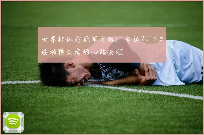 世界杯体彩冠军之路:专访2018年成功预测者的心路历程