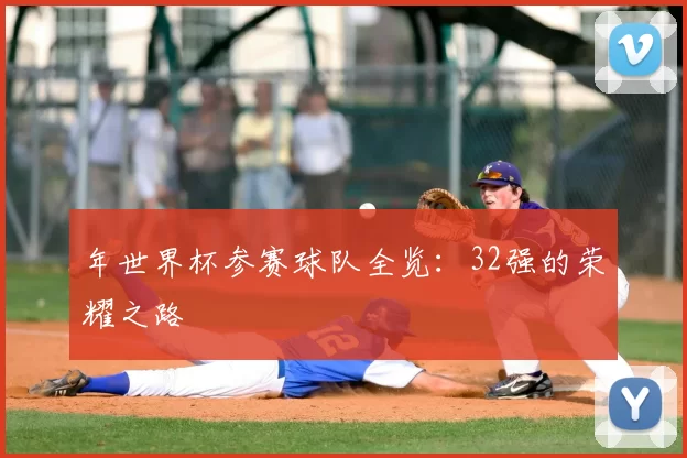 年世界杯参赛球队全览：32强的荣耀之路